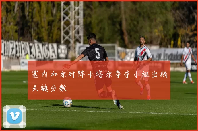 塞内加尔对阵卡塔尔争夺小组出线关键分数