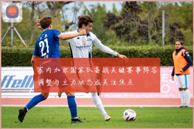 塞内加尔国家队备战关键赛事阵容调整与主力状态成关注焦点