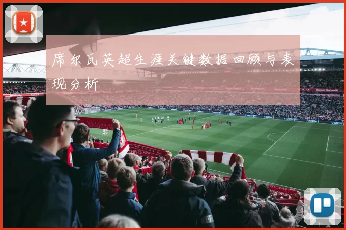 席尔瓦英超生涯关键数据回顾与表现分析