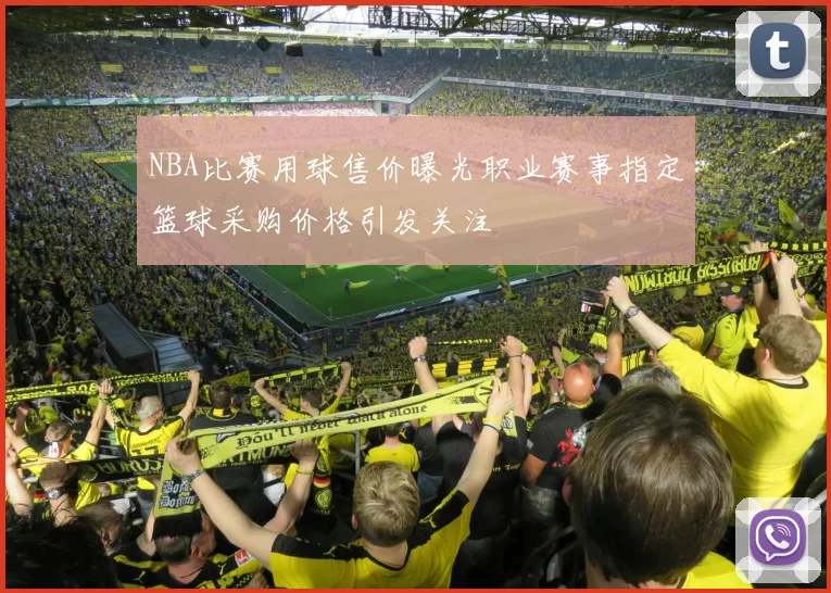 NBA比赛用球售价曝光职业赛事指定篮球采购价格引发关注
