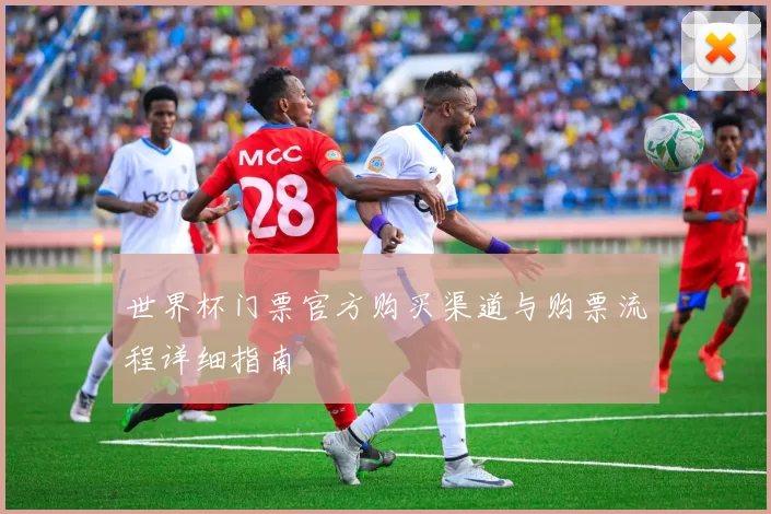 世界杯门票官方购买渠道与购票流程详细指南