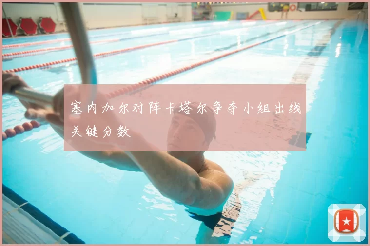 塞内加尔对阵卡塔尔争夺小组出线关键分数